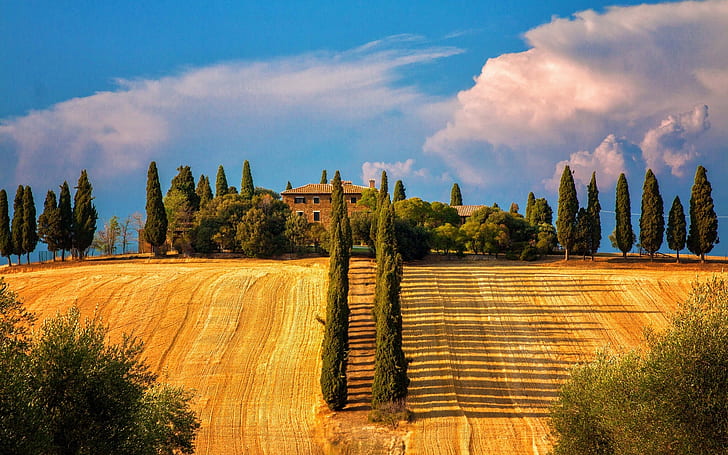 Italy, Siena, Tuscany, trees, cypresses, fields, house, summer, Italy, Siena, Tuscany, Trees, Cypresses, Fields, House, Summer, HD wallpaper