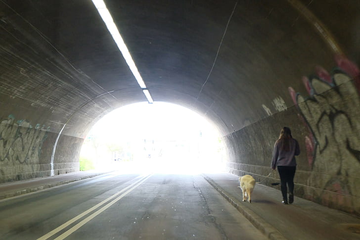 Tunnel, Pedestrian, Dog, tunnel, pedestrian, dog, HD wallpaper