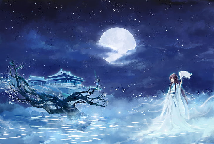 Fantasiekunst, Fantasiemädchen, Nacht, Mond, Anime-Mädchen, Anime, Xianxia, ​​chinesisches Kleid, HD-Hintergrundbild