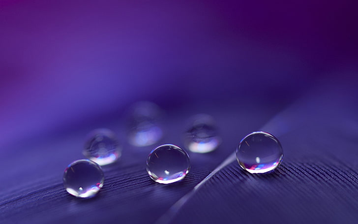 water droplets, focus photo of rain drops, macro, depth of field, purple, water drops, reflection, HD wallpaper