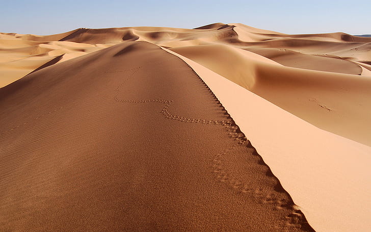 Пустиня, пейзаж, дюна, пясък, отпечатъци, пустиня Сахара, пустиня, пейзаж, дюна, пясък, отпечатъци, HD тапет