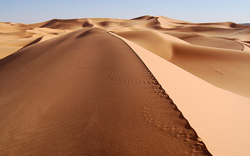 Пустыня, пейзаж, дюна, песок, следы, пустыня Сахара, пустыня, пейзаж, дюна, песок, следы, HD обои HD wallpaper