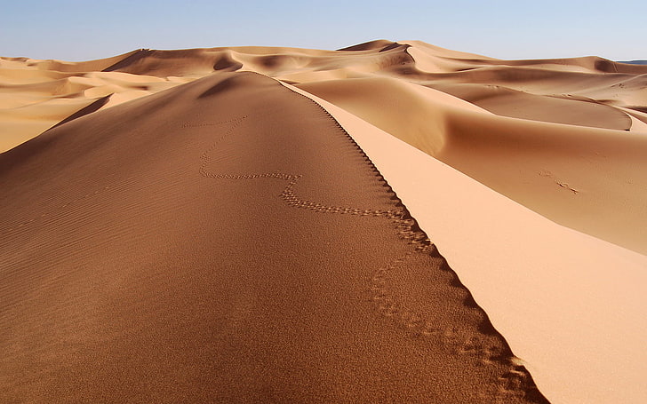 пустиня, пясък, писти, дюна, пейзаж, отпечатъци, природа, HD тапет