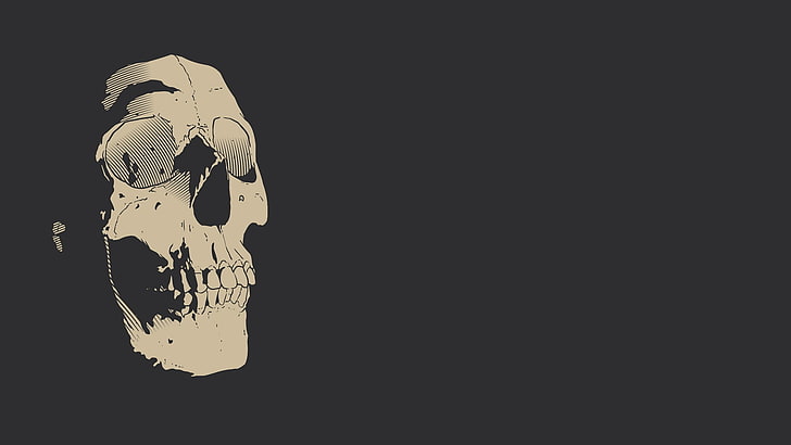 fondo de pantalla esqueleto blanco, cráneo, fondo simple, minimalismo, Fondo de pantalla HD