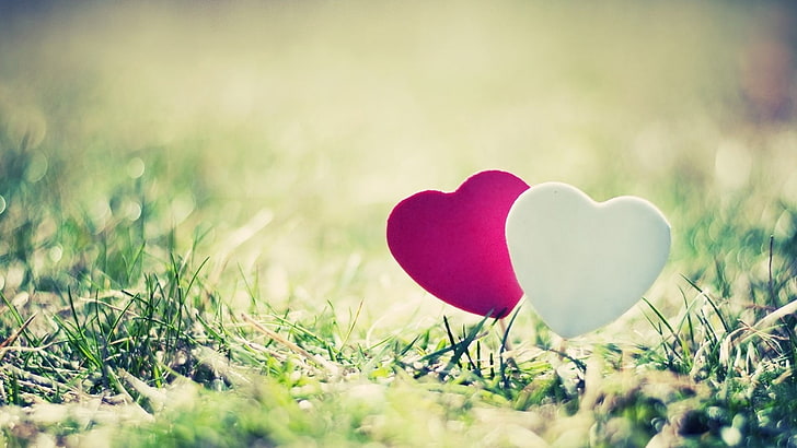 Dos globos de corazón rojo y blanco, corazón, hierba, pareja, primer plano, Fondo de pantalla HD