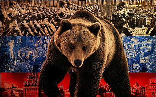 urso, fundos de símbolos, bandeira, Rússia, baixar 3840x2400 urso, HD papel de parede HD wallpaper