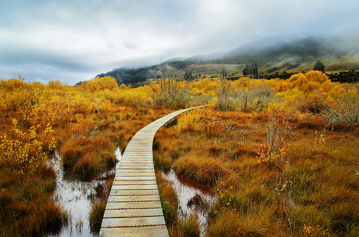 brown wooden dock, Curve, dock, New Zealand, Queenstown, com, sony a7r, horizontal, day, color, landscape, daily, hdr photography, stuck, customs, colour, tutorial, orange, clouds, mist  mountain, mountain  path, wetlands, water, field, australia, new zealand  south island, otago, glenorchy, nature, autumn, outdoors, scenics, footpath, forest, tree, HD wallpaper