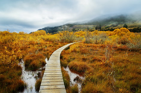 brown wooden dock, Curve, dock, New Zealand, Queenstown, com, sony a7r, horizontal, day, color, landscape, daily, hdr photography, stuck, customs, colour, tutorial, orange, clouds, mist  mountain, mountain  path, wetlands, water, field, australia, new zealand  south island, otago, glenorchy, nature, autumn, outdoors, scenics, footpath, forest, tree, HD wallpaper HD wallpaper