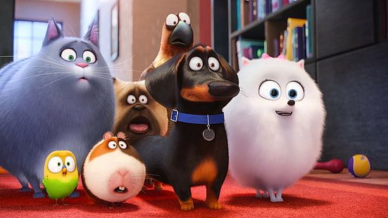 Сцена из фильма «Тайная жизнь домашних животных», «Тайная жизнь домашних животных», собака, лучшие анимационные фильмы 2016 года, мультфильм, HD обои HD wallpaper