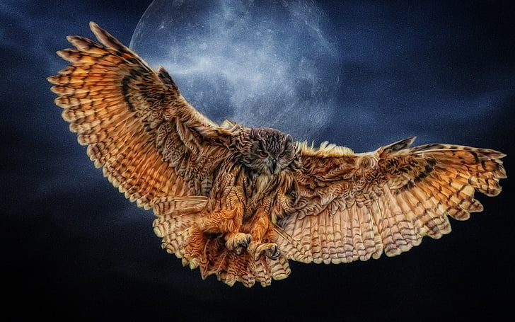 brown owl, owl, Moon, wings, nature, animals, artwork, fantasy art, HD wallpaper