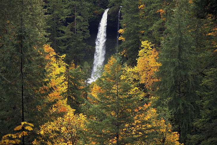 昼間はトレスと滝、スプラッシュ、滝、トレス、日、時間、画像、北の秋、シルバーフォールズ州立公園、亜オレゴン州、秋の色、自然、森、木、風景写真、秋、木、風景、風景、屋外、葉、 HDデスクトップの壁紙