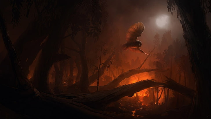 fondo de pantalla de búho, búho, fuego, bosque, arte de fantasía, Fondo de pantalla HD