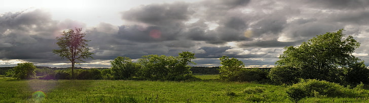grünblättrige Bäume, Wolken, Landschaft, Mehrfachanzeige, Bäume, bewölkt, HD-Hintergrundbild