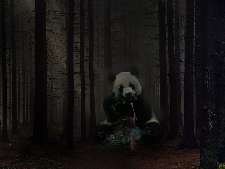 Gabriel (Shingeki no Bahamut), panda, forest, dark, HD wallpaper