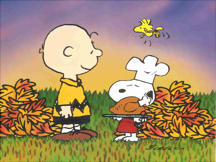 brown, charlie, comics, peanuts, thanksgiving, HD wallpaper
