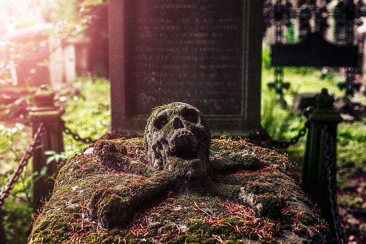 cmentarze, grób, czaszka, Tapety HD