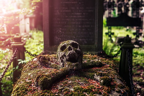 кладбища, могила, череп, HD обои HD wallpaper