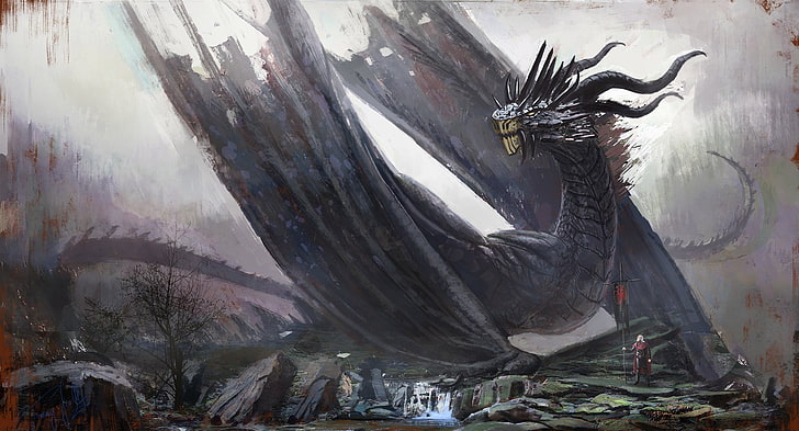 fondo de pantalla digital de dragón negro, obra de arte, arte de fantasía, dragón, Juego de Tronos, Casa Targaryen, Fondo de pantalla HD