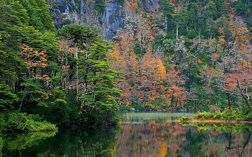 natur, landskap, skog, höst, sjö, reflektion, berg, nationalpark, Chile, träd, färgglada, buskar, HD tapet HD wallpaper