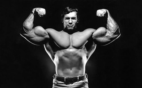 Arnold Schwarzenegger, selebriti, pria, Wallpaper HD HD wallpaper