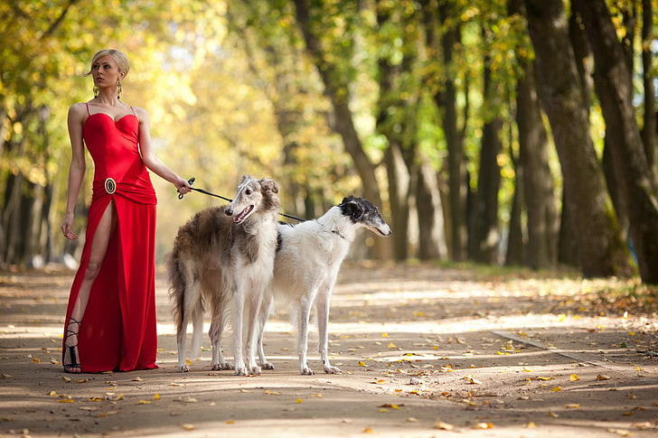 дамска червена рокля за спагети-каишка, момиче, парк, куче, разходка, HD тапет