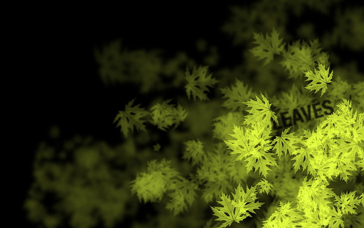 feuilles vertes avec superposition de texte, feuilles, plantes, typographie, Fond d'écran HD