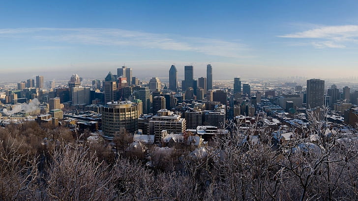 Zima, Montreal, Kanada, śnieg, drzewa, Tapety HD