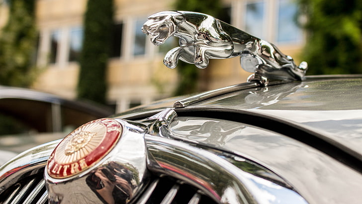 silverfärgad och guldfärgad ring, Jaguar, bil, HD tapet