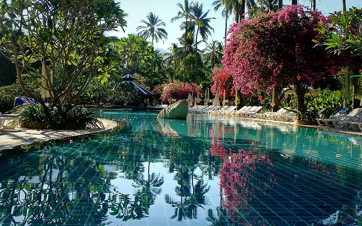 Удивительный бассейн, открытый бассейн, природа, 1920x1200, дерево, пальма, бассейн, HD обои