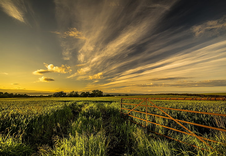 yellow metal fence and green plant field, field, grass, fence, sky, summer, HD wallpaper