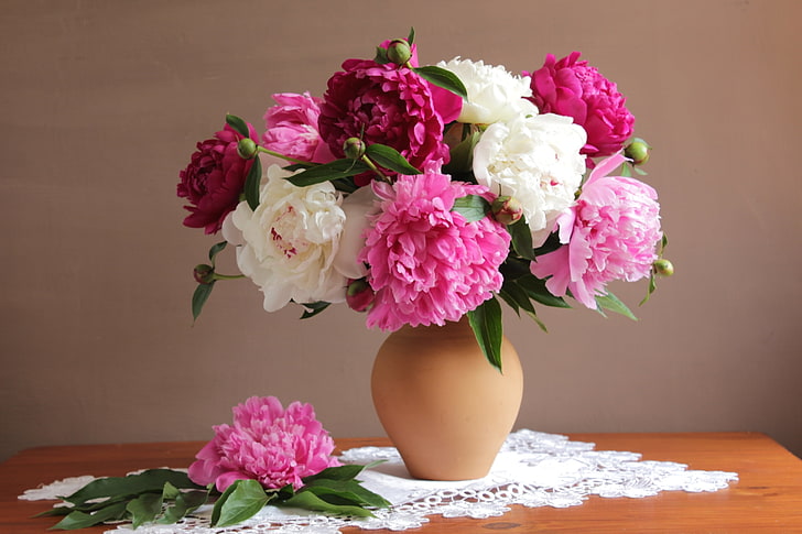 merangkai bunga peony pink dan putih, buket, warna-warni, peony, Wallpaper HD