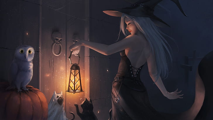 девушка, кошки, сова, шляпа, платье, дверь, арт, фонарь, хэллоуин, череп, ведьма, HD обои