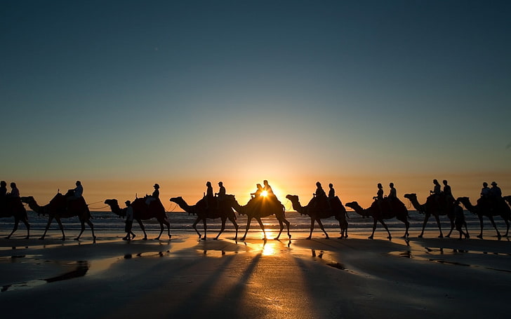 paisaje, naturaleza, puesta de sol, camellos, desierto, luz solar, playa, Fondo de pantalla HD