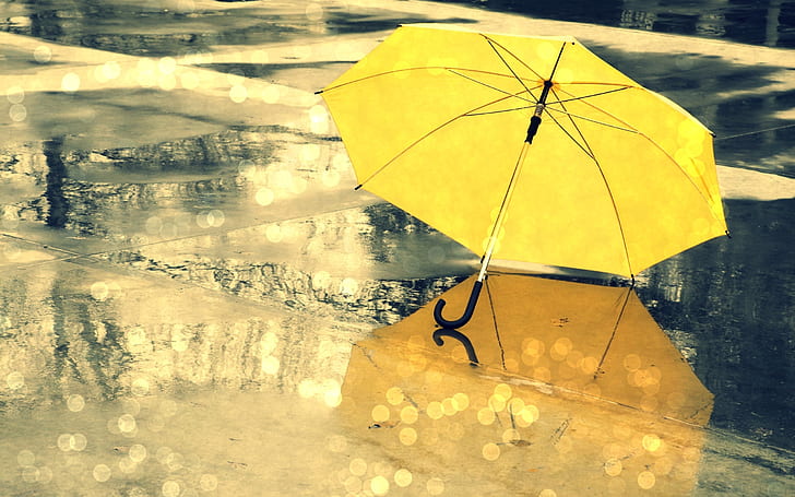 umbrella, yellow, rain, reflection, water drops, HD wallpaper