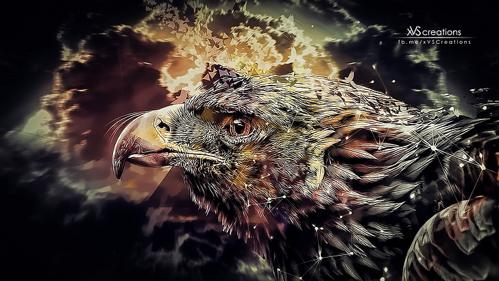 illustration of eagle, eagle, digital art, abstract, birds, animals, HD wallpaper