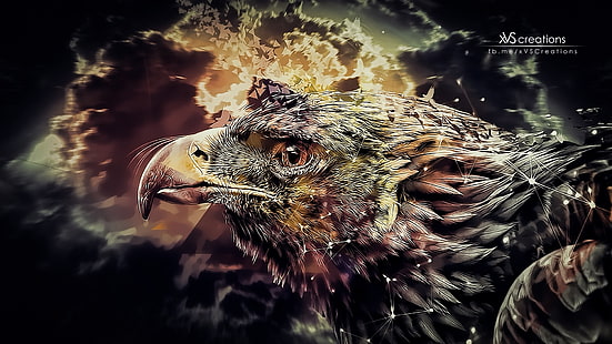 illustration of eagle, eagle, digital art, abstract, birds, animals, HD wallpaper HD wallpaper
