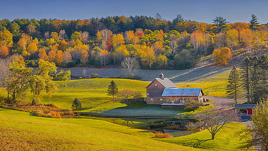 Feuillage au Vermont, Fond d'écran HD HD wallpaper