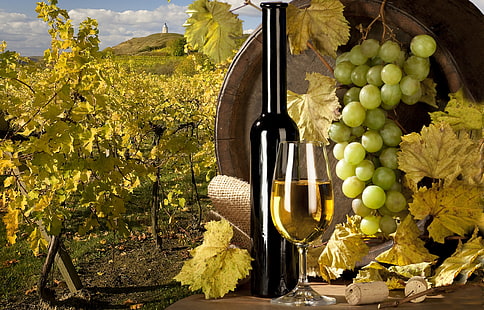 زجاجة نبيذ بيضاء العنب الأخضر؛ كأس نبيذ زجاجي شفاف ، نبيذ ، أبيض ، عنب ، كرم ، أنبوب ، برميل، خلفية HD HD wallpaper