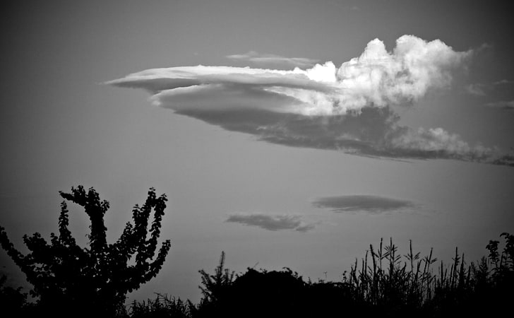 Lenticular Cloud, gray nimbus clouds and green leafed plant, Black and White, Cloud, Monochrome, Lenticular, HD wallpaper