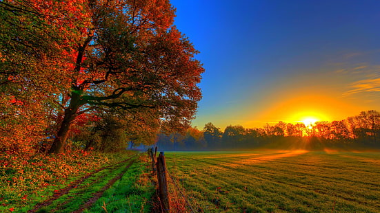 sezon jesienny, ścieżka, płot, wieś, natura, niebo, pole, jesień, droga polna, drzewo, poranek, świt, światło słoneczne, obszar wiejski, łąka, krajobraz, Tapety HD HD wallpaper