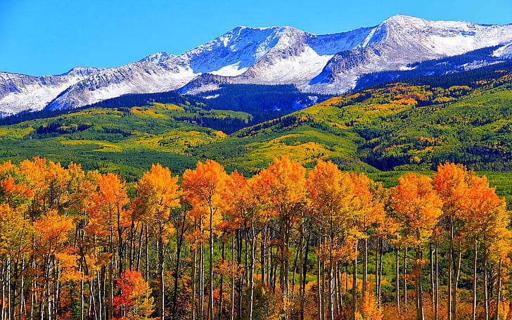 الخريف ، كولورادو ، سقوط الجبال الثلجية والمناظر الطبيعية عالية الدقة خلفيات 1920 × 1200، خلفية HD