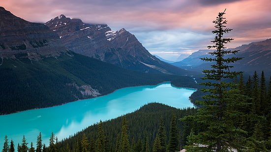 montanhas, natureza, lago peyto, lago, canadá, floresta, HD papel de parede HD wallpaper