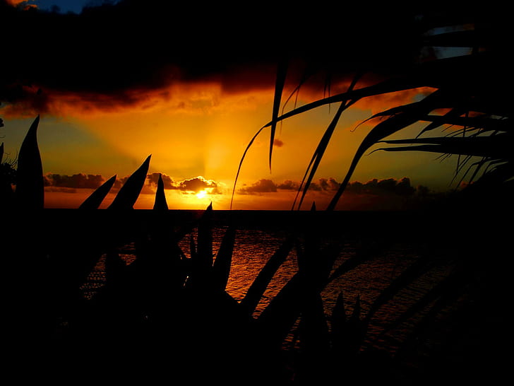 Winter Sunset South Pacific Style, pomarańczowy, promienie, zachód słońca, ocean, odbicie, słońce, światło słoneczne, zachód słońca, pacyfik, natura, styl, Tapety HD
