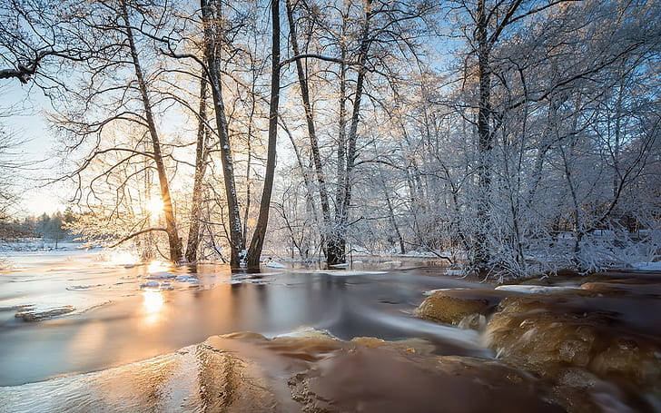 nature, 1920x1200, river, Rock, tree, Winter, snow, HD wallpaper