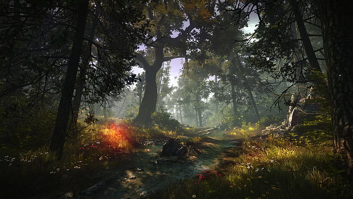 nature, The Witcher 2 Assassins of Kings, video games, screen shot, The Witcher, forest, HD wallpaper