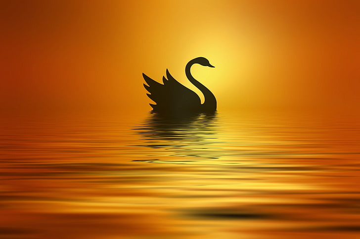 the sun, lake, styling, silhouette, Swan, Josep Sumalla, HD wallpaper