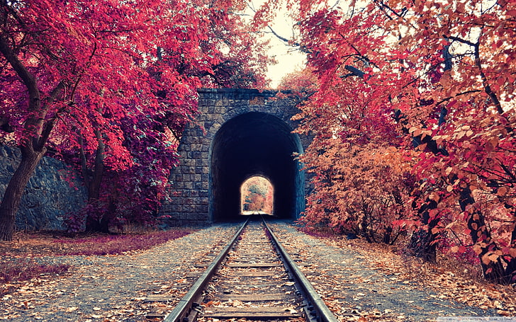 terowongan bata merah, fotografi arsitektur rel kereta api, jatuh, terowongan, rel kereta api, pohon, Armenia, Wallpaper HD