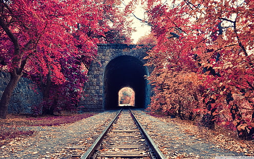 Túnel de ladrillo marrón, fotografía arquitectónica de ferrocarril, otoño, túnel, ferrocarril, árboles, Armenia, Fondo de pantalla HD HD wallpaper