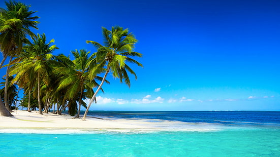 Praia tropical com palmeiras lindo céu azul mar tropical praia palmeiras, HD papel de parede HD wallpaper