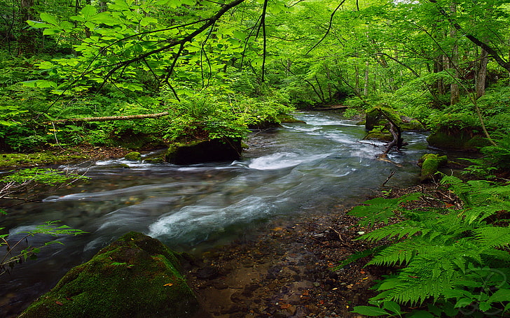 Река Ойрасе, разположена в източната част на префектура Аомори, Япония, HD тапет